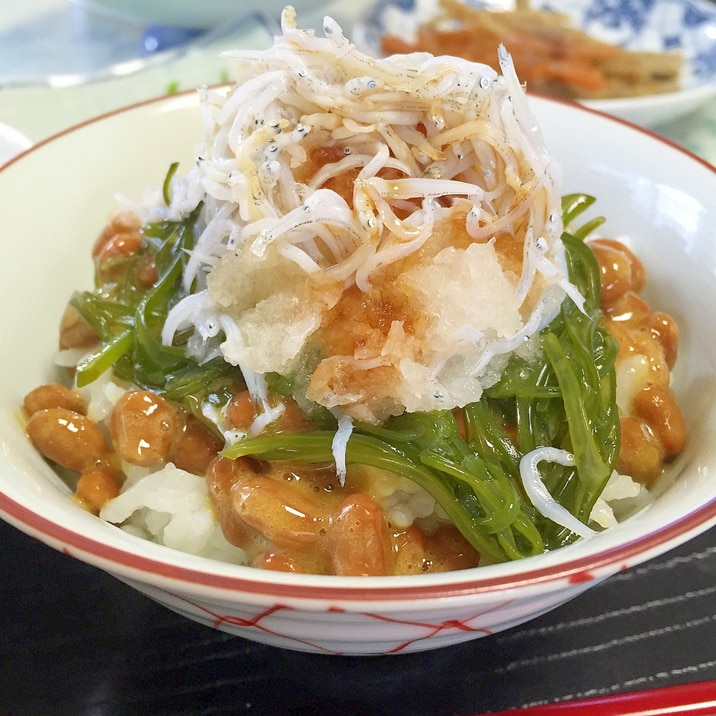 風邪に！納豆とめかぶで、ネバトロ♪しらすおろし丼